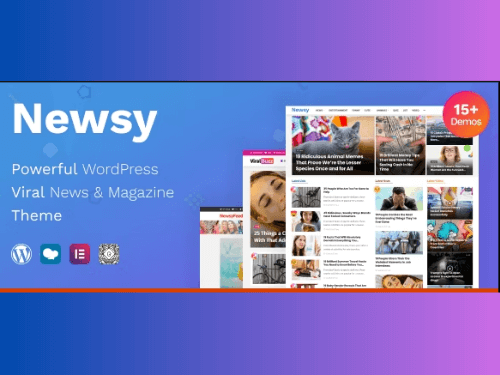 Get Newsy WordPress Theme at an Affordable Price