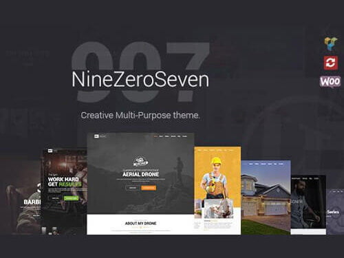 907 - Responsive Multi-Purpose WordPress Theme Cheap Price