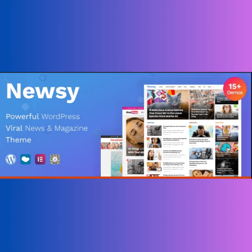 Get Newsy WordPress Theme at an Affordable Price