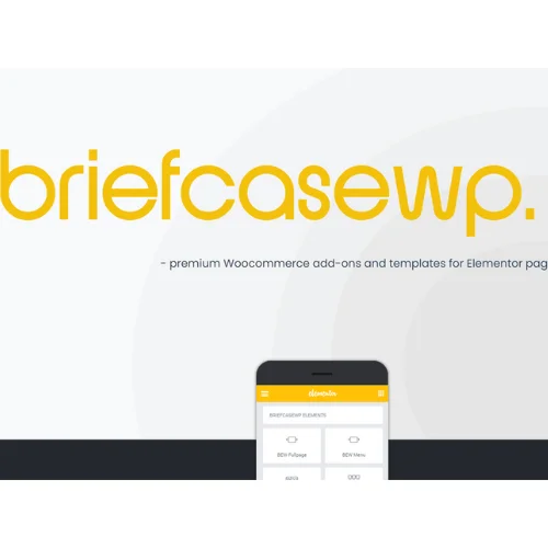 Get Professional Design Quality on a Budget with the Briefcase Elementor Widgets Pro Plugin