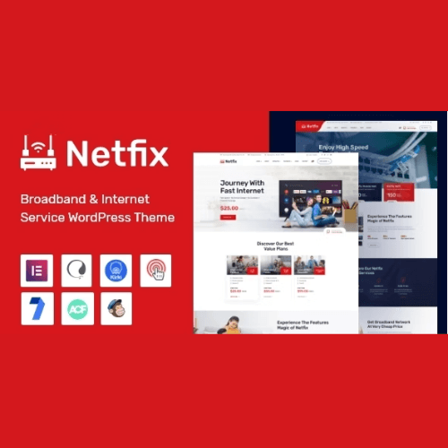 Get Your Netfix WordPress Theme at an Affordable Price!