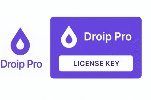Droip Pro License Key Activation | Lifetime Update 3 Droip Pro license key activation for WordPress